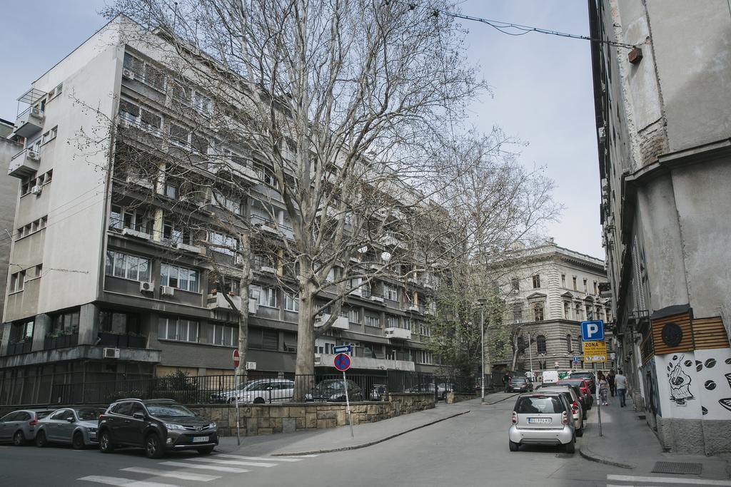 Central Belgrade Apartment 4 المظهر الخارجي الصورة